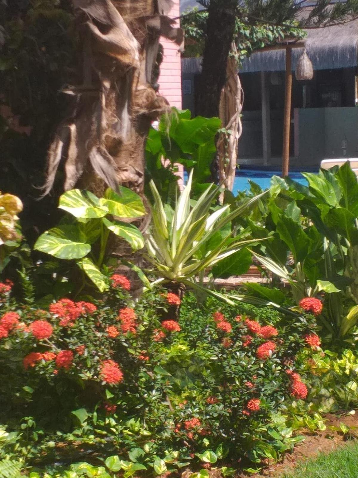 Chale Tulipa - Centro Praia Da Pipa Praia de Pipa Dış mekan fotoğraf